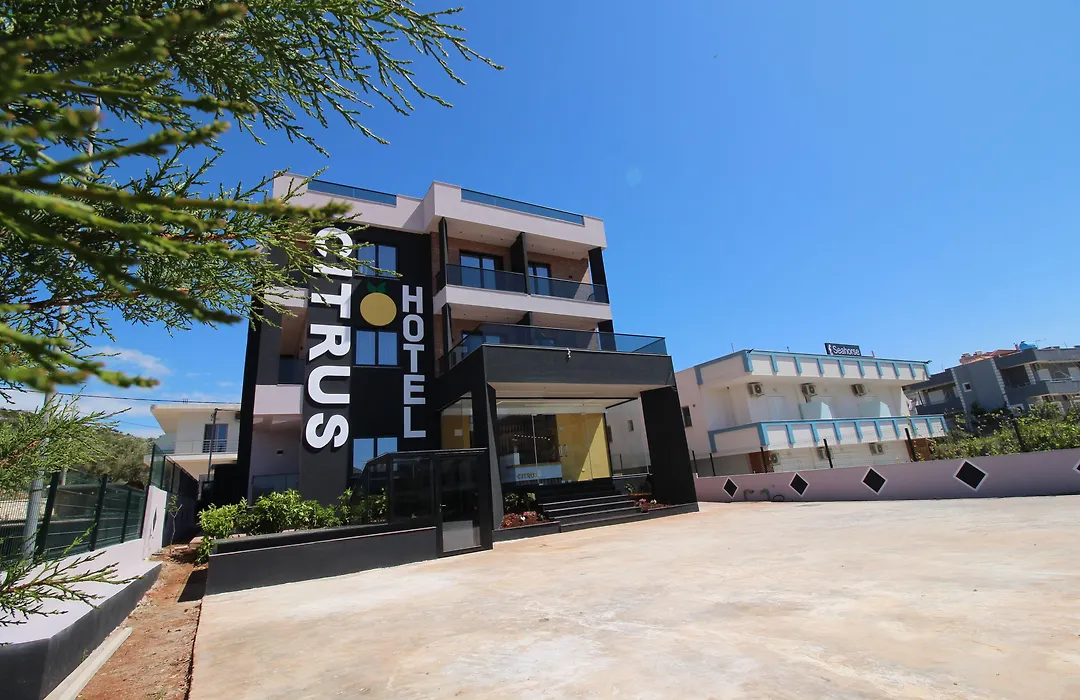 Hotel Citrus-1