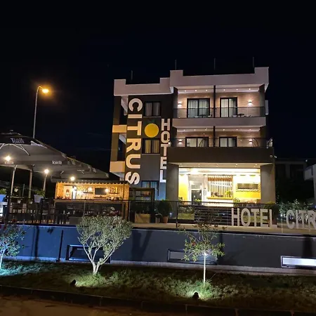 Hotel Citrus-3